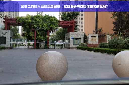 延安工作收入证明深度解析，实地调研与自媒体作者的见解?