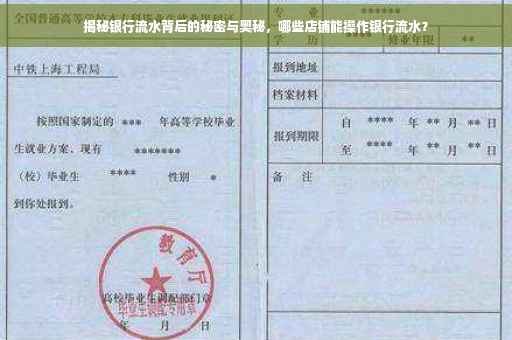 揭秘银行流水背后的秘密与奥秘，哪些店铺能操作银行流水？