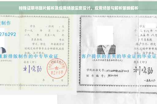 特殊证明书图片解析及应用场景深度探讨，应用场景与解析策略解析
