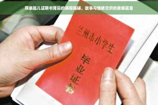 双亲孤儿证明书背后的真相揭秘，故事与情感交织的震撼篇章