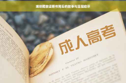 潍坊释放证明书背后的故事与深层启示
