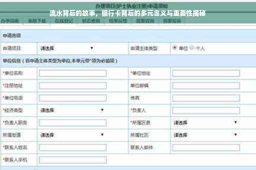 流水背后的故事，银行卡背后的多元含义与重要性揭秘