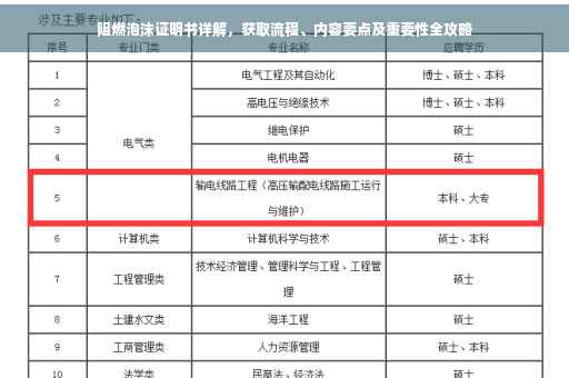 阻燃泡沫证明书详解，获取流程、内容要点及重要性全攻略