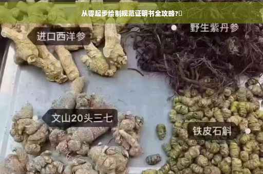 从零起步绘制规范证明书全攻略?✨