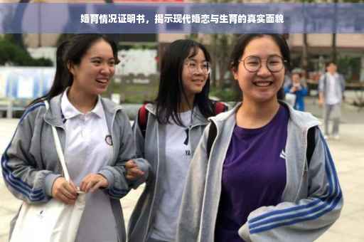 婚育情况证明书，揭示现代婚恋与生育的真实面貌