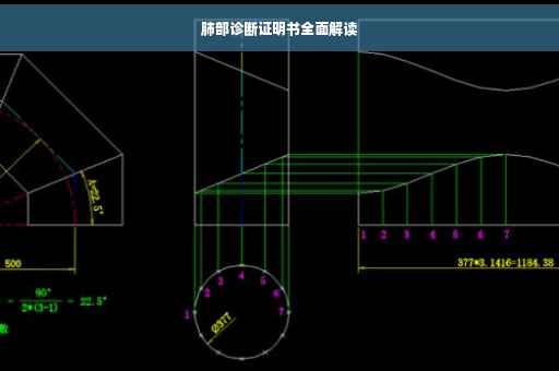 肺部诊断证明书全面解读