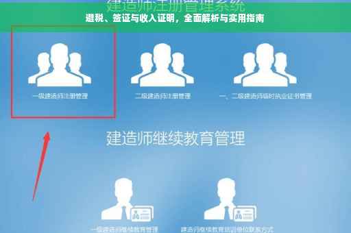 避税、签证与收入证明，全面解析与实用指南