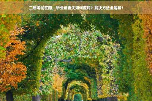 二建考试在即，毕业证丢失如何应对？解决方法全解析！