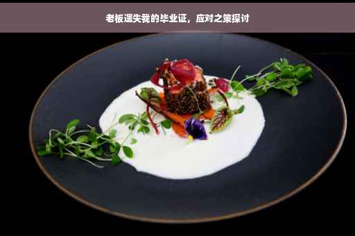 老板遗失我的毕业证，应对之策探讨