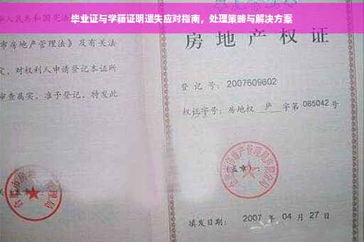 毕业证与学籍证明遗失应对指南，处理策略与解决方案