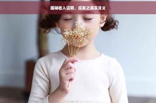 揭秘收入证明，应发之真实含义