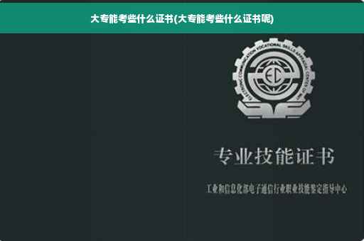 大专能考些什么证书(大专能考些什么证书呢)