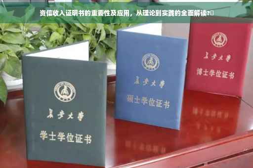 资信收入证明书的重要性及应用，从理论到实践的全面解读?✨