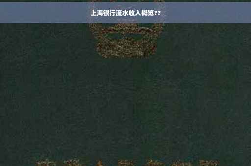 上海银行流水收入概览??