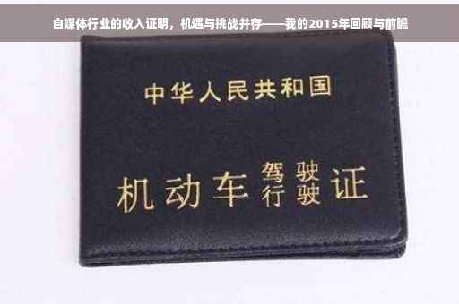 自媒体行业的收入证明，机遇与挑战并存——我的2015年回顾与前瞻