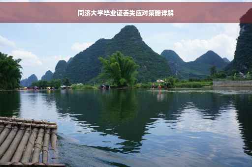同济大学毕业证丢失应对策略详解