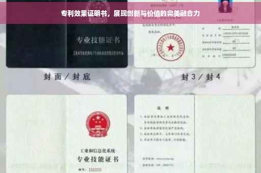 专利效果证明书，展现创新与价值的完美融合力