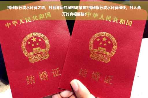 揭秘银行流水计算之道，月薪背后的秘密与策略?揭秘银行流水计算秘诀，月入两万的真相揭秘！