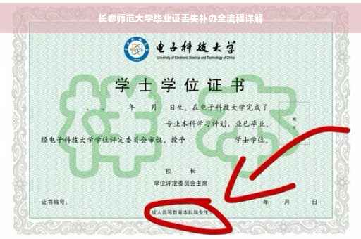 长春师范大学毕业证丢失补办全流程详解