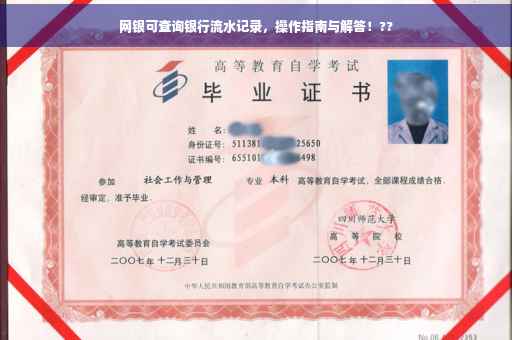 网银可查询银行流水记录，操作指南与解答！??