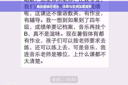 商业版银行流水，优势与劣势深度解析