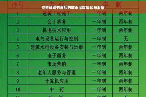 资金证明书背后的故事深度解读与洞察