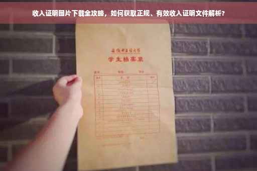 收入证明图片下载全攻略，如何获取正规、有效收入证明文件解析?