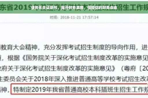 债务无关证明书，揭开财务真相，保障你的财务自由