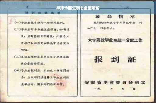 早搏诊断证明书全面解析