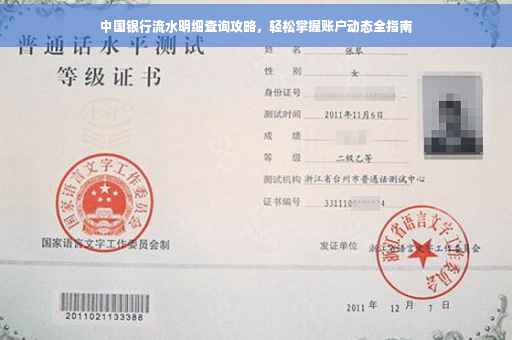 中国银行流水明细查询攻略，轻松掌握账户动态全指南