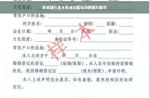 农业银行流水账单详解与示例图片展示