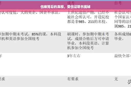 伤痛背后的真相，受伤证明书揭秘