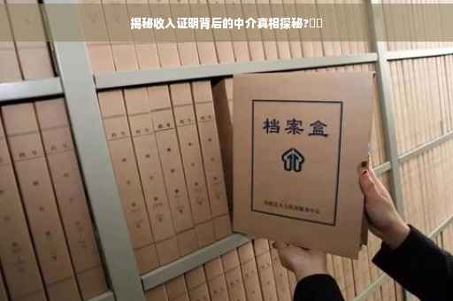 揭秘收入证明背后的中介真相探秘?​​