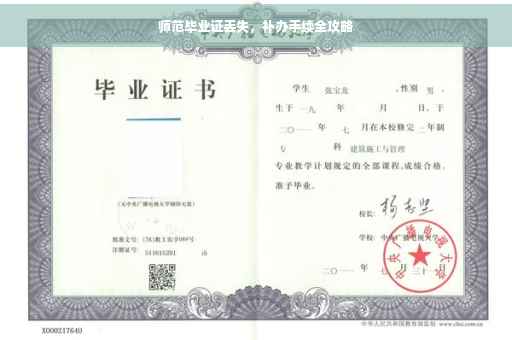 师范毕业证丢失，补办手续全攻略