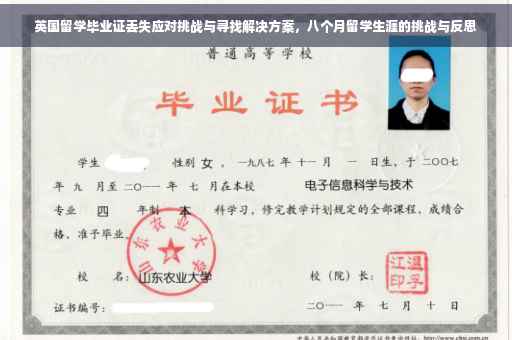 英国留学毕业证丢失应对挑战与寻找解决方案，八个月留学生涯的挑战与反思