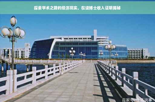 探索学术之路的经济现实，在读博士收入证明揭秘