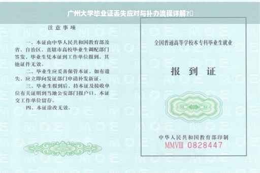 广州大学毕业证丢失应对与补办流程详解?✨