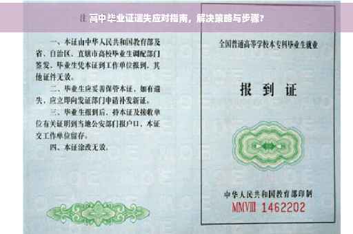 高中毕业证遗失应对指南，解决策略与步骤?