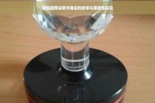 肾脏捐赠证明书背后的故事与重要性探究