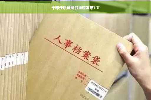 干部任职证明书重磅发布?⚡️