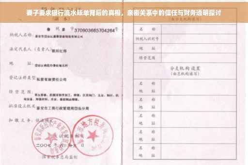 妻子要求银行流水账单背后的真相，亲密关系中的信任与财务透明探讨