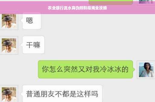 农业银行流水真伪辨别指南全攻略