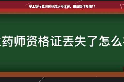 掌上银行查询转账流水号详解，快速操作指南??