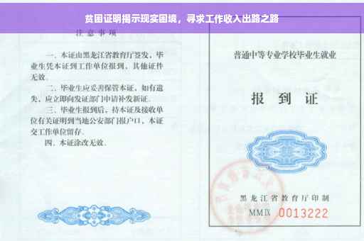 贫困证明揭示现实困境，寻求工作收入出路之路