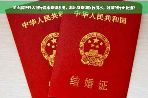 全面解析各大银行流水查询系统，派出所查询银行流水，哪家银行更便捷？