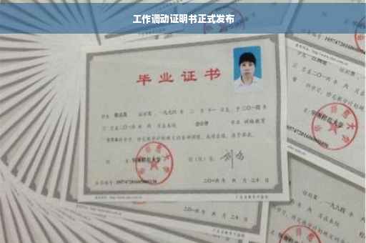 工作调动证明书正式发布