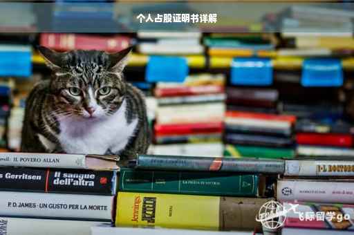 个人占股证明书详解