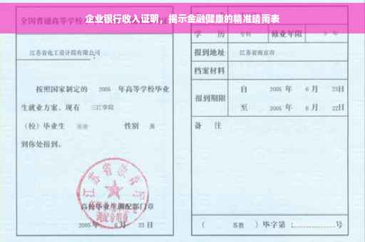 企业银行收入证明，揭示金融健康的精准晴雨表