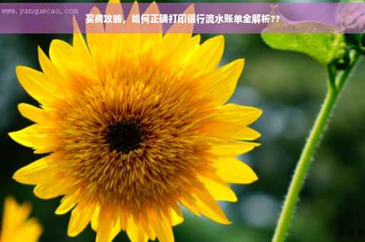 买房攻略，如何正确打印银行流水账单全解析??