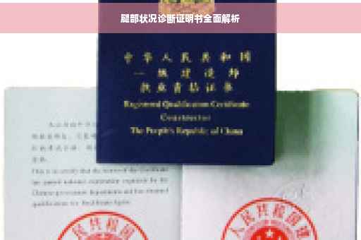 腿部状况诊断证明书全面解析